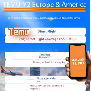 TEMU Y2 Ddp Logistics International Dropshipping USA Europe Temu Agent d'expédition rapide par air/express avec prix avantageux - Product Image 4
