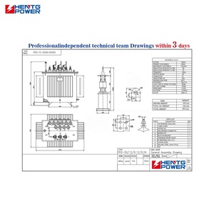 Transformateur immergé dans l'huile haute efficacité 250 kVA 11/0,415 kV stable pour l'alimentation électrique urbaine et les infrastructures - Product Image 5