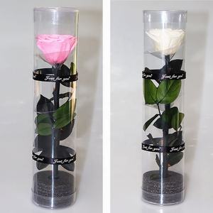 Source d'herbe à longue tige, <span class=keywords><strong>rose</strong></span> <span class=keywords><strong>blanche</strong></span>, <span class=keywords><strong>rose</strong></span> conservée, cadeau de promotion, bon marché, offre spéciale - Product Image 2