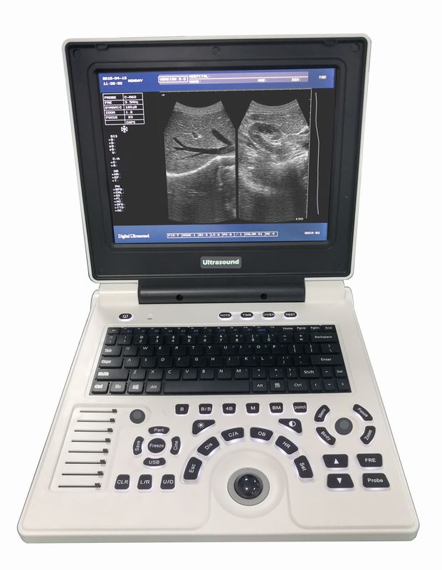 Automatic Veterinary Hematology Analyzer Factory Price