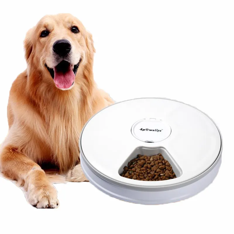 Pet Supplies Auto smart pet feeder dog kitten 6 celle per alimenti separate mangiatoia per animali domestici automatica temporizzata elettronica in plastica