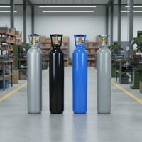 Cilindro de Dióxido de Carbono de 8L Personalizado por el Fabricante con Asa, Adecuado para Aplicaciones Industriales Globales.