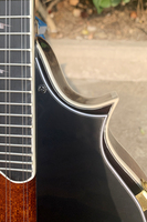 Mandoline Aiersi F Style à 8 cordes en épicéa massif et érable, corps cintré, style vintage Bluegrass, instrument à cordes acoustique, marque personnalisée