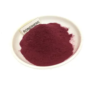 Wholesales Direct Sales High Quality Organic European Bilberry Extract Anthocyanin 25% Powder