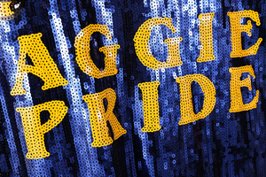 Custom Team Logo Bling <strong>Sequin</strong> T-shirt AGGIE Tassels <strong>Sequin</strong> Jersey Dress Fringed <strong>Top</strong> - Product Image 5
