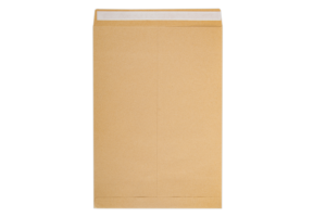 Bán buôn tùy chỉnh kích thước kraft giấy các tông phong bì nhanh chóng thể hiện cho tài liệu - Product Image 4