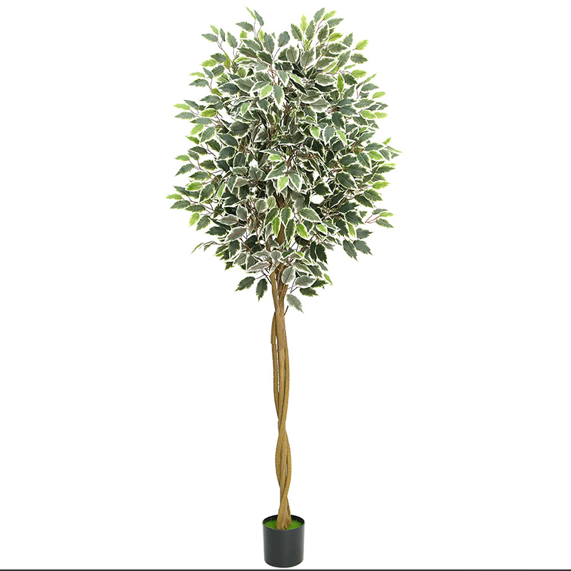 180cm blanc