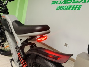 2024 Roadsan V20 <strong>Ebike</strong> for Adults 24inch Fat Tyre 48V 15AH/20AH Lithium Battery Dual Disc Brake System - Product Image 4