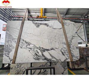 Foshan <span class=keywords><strong>แผ่น</strong></span><span class=keywords><strong>หินอ่อน</strong></span>สีขาวลายดอกไม้บานใหญ่แบบอิตาลีทันสมัยราคาดีที่สุดสำหรับโรงแรมโครงการบ้านเส้นเลือดสีเทาขัดเงาสำหรับในร่ม - Product Image 3