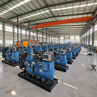 Genset Diesel Tiga Fasa Open Frame Cocok untuk Konstruksi Gardu Induk Transmisi Daya Industri