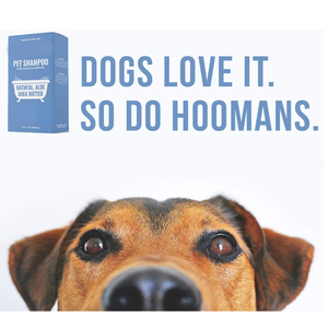 Champú y abrigo para perros OEM/ODM a precio de fábrica para hidratar, limpiar y añadir brillo para productos de aseo y limpieza de mascotas - Product Image 2