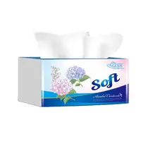 Facial Tissue Big Promotion Nature Brown Extra Soft Sustainable Facial Tissue