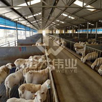 Bâtiment préfabriqué en acier galvanisé pour moutons et chèvres |   Abri pour bétail résistant au vent, bâtiment agricole à faible entretien