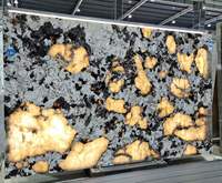 Dalle de granit de Patagonie poli transparent de luxe en quartzite naturelle de Patagonie du Brésil