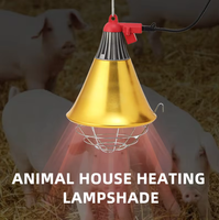 Lampe Chauffante Infrarouge Professionnelle 175W 250W pour Élevage Avicole – Ampoule Chauffante Durable pour Éleveuse Animale