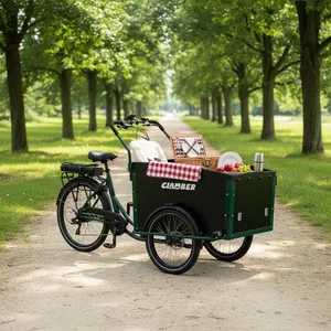 Vélo cargo électrique à 3 roues Clamber, entrepôt UE, avec moteur central 250W, design hollandais Bakfiets, pour le <span class=keywords><strong>transport</strong></span> familial - Product Image 5