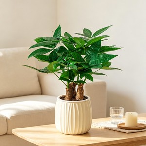 <span class=keywords><strong>Maceta</strong></span> Ecológica con Autorriego y Absorción Automática de Agua, <span class=keywords><strong>Maceta</strong></span> Creativa Hidropónica para Plantas Verdes, <span class=keywords><strong>Maceta</strong></span> de Plástico - Product Image 3
