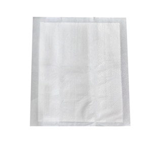 Tapis absorbants jetables pour chiots et chiens, toutes tailles, imprimés sur mesure, séchage rapide, accessoires d'apprentissage de la propreté, en papier durable, offre spéciale - Product Image 1