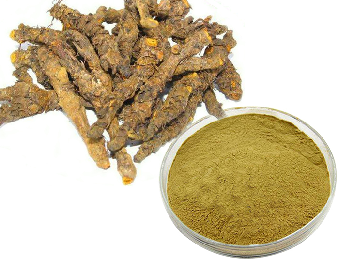 Berberine Hydrochloride Coptis root extract Berberine HCL Coptis Chinensis extract