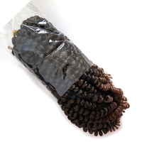 Nouveauté : Extensions de cheveux synthétiques teintes pour tresses au crochet, torsades pré-tressées, prêtes à l'emploi avec mise en forme à l'eau chaude