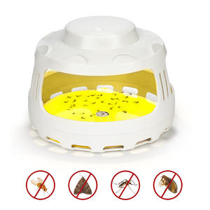 Piège à mouches électrique à LED pour une utilisation en intérieur pour éliminer les mouches des fruits et les insectes volants avec piège collant - Product Image 6