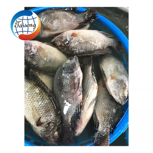 <span class=keywords><strong>Tilapia</strong></span> <span class=keywords><strong>du</strong></span> <span class=keywords><strong>Nil</strong></span> frais congelé pour ferme piscicole ronde entière avec emballage en vrac - Product Image 5