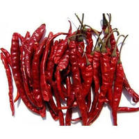 Piment rouge pur piment rouge sec en gros pour la vente en gros