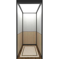 Ascenseur de villa en acier de style moderne avec miroir mural et plafond LED, design contemporain, capacité de 400 kg
