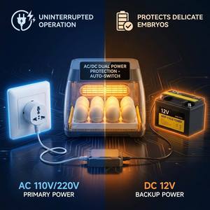 Incubateur d'œufs automatique multifonctionnel BeYou 1056 œufs, double alimentation, taux d'éclosion de 98 %, machine d'éclosion pour volailles et canards - Product Image 5