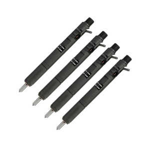Inyector de Combustible Diésel Common Rail CRDI 33800-4X800 EJBR02901D para Hyundai <span class=keywords><strong>Terracan</strong></span> Kia Carnival Sedona <span class=keywords><strong>2.9</strong></span> EU3 - Product Image 1