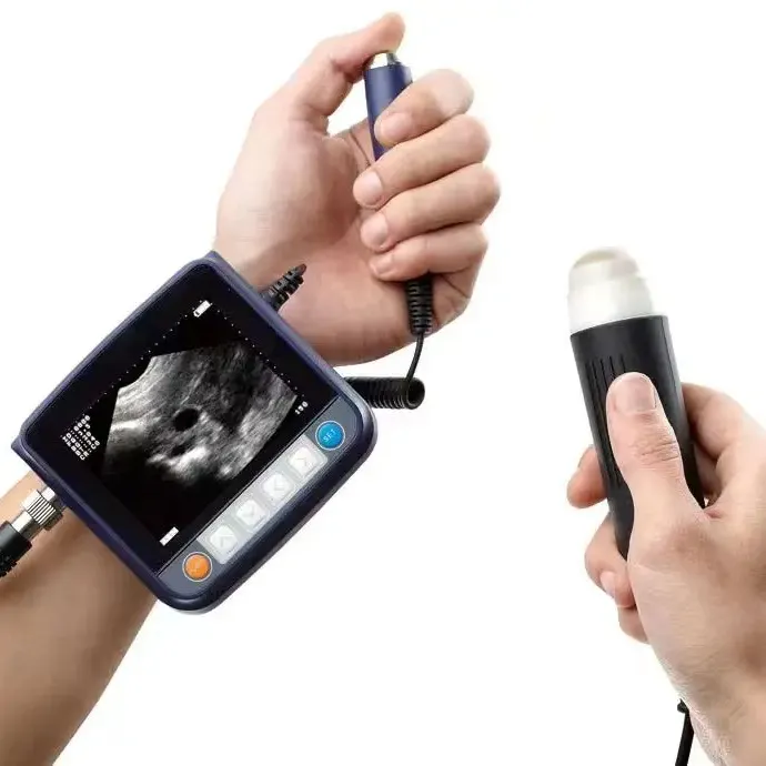 Scanner de ultrassom hospital, monitoramento veterinário, parâmetros de saúde