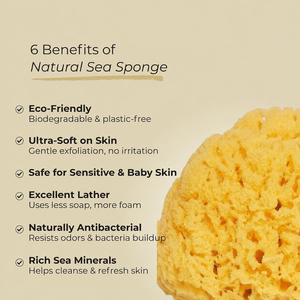 Spugna <span class=keywords><strong>da</strong></span> <span class=keywords><strong>Bagno</strong></span> Naturale CF, Delicata ed Ecologica, Esfoliante per Pelli Sensibili, Senza Plastica, Vendita all'Ingrosso - Product Image 2