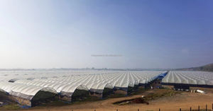 MAXPOWER UV แบบกําหนดเอง 200 250 ไมครอนการเกษตรหลายพลาสติกเรือนกระจกพลาสติกโพลีเธนฝาครอบฟิล์ม pe สําหรับเรือนกระจก - Product Image 6