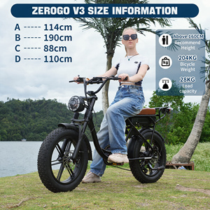 Vélo électrique tout-terrain Zerogo V3 20 pouces à pneus larges, 250W, batterie 15Ah, <span class=keywords><strong>prix</strong></span> usine, entrepôt à l'étranger - Product Image 2