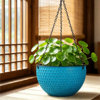 Pot de fleurs auto-arrosant de luxe traditionnel à double compartiment pour bonsaï avec trous de drainage 4,74 L en PP durable, panier suspendu