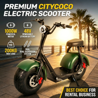 Nouveau Citycoco 1000W 48V à grandes roues, trottinette électrique à pneus larges pour adulte, puissante moto électrique à pneus larges pour la vente en gros