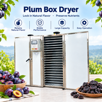 Industriële pruimen-dehydrator met heteluchtcirculatie, fruitdroogrek en droogoven voor gedroogde pruimen