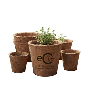 Maceta de Fibra de Coco Biodegradable y Ecológica para Plantación Directa al por Mayor con Orificio de Drenaje para Evitar el Choque de Trasplante - Product Image 1