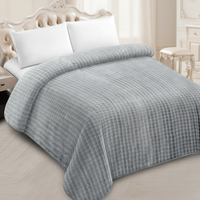 2-lagige 220x240CM Geprägte Umweltfreundliche Antibakterielle Polyester-Raschel-Decke im Europäisch-Amerikanischen Stil für Alle Jahreszeiten Maschinell Gewebt