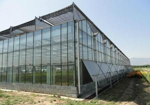 Serre en verre Venlo moderne prix bon marché de concombres de tomates végétales belle et robuste, avec une résistance élevée au vent. - Product Image 2