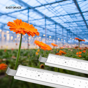 Barre lumineuse LED dimmable 0-10V pour plantes, spectre complet 395-740nm, puissance accrue, puce SANAN/EPILEDS 120 °   Grand angle - Product Image 1