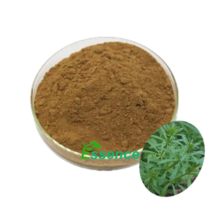 100% Natural Cleavers Herb Extract <span class=keywords><strong>Galium</strong></span> Aparine Powder Clivers Extract - Product Image 1