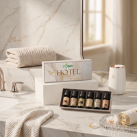 Parfums d'hôtel BY, ensemble d'huiles essentielles de 10 ml, 6 senteurs, diffuseur d'arômes, parfum pour la salle d'entrée, qualité supérieure, approvisionnement OEM