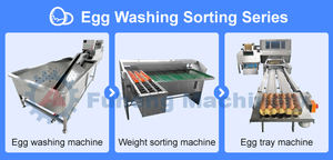 <span class=keywords><strong>เครื่อง</strong></span>คัดแยกไข่อัตโนมัติสแตนเลส 20,000 ฟองต่อชั่วโมง <span class=keywords><strong>เครื่อง</strong></span>คัดแยกไข่สำหรับคัดแยก ล้าง และบรรจุ - Product Image 3