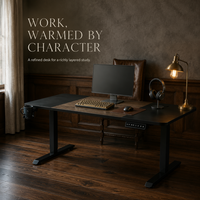 Bureau debout électrique à moteur unique AOR 140x60cm, hauteur réglable, capacité statique 200kg, chêne belge 15mm, Nouveau, Pro Value, Vente en gros usine