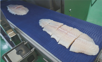 Machine à découper le poisson fumé en filets de poids égal, trancheuse à viande CUT28