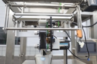 Machine d'emballage automatique multifonctionnelle verticale Elemotion pour granules de haricots, bonbons, café, cacahuètes et fruits de mer