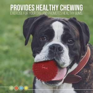 BPAフリーTPR犬用ボール非毒性レッドブルーイエローグリーンペットきしみ玩具積極的なチェワーゴムロープ用臼歯洗浄 - Product Image 3