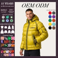 Veste matelassée en nylon ripstop personnalisée pour homme, coupe-vent, imperméable, à capuche, style streetwear, parka d'hiver chaude, thermique pour l'extérieur
