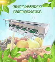 Système électronique de tri, de classification et d'emballage des légumes et des fruits à 10 tonnes, machine de tri des oignons, ligne de classement des oignons